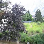 公寓 利恩茨埃格度假公寓