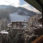 公寓 利恩茨埃格度假公寓 *