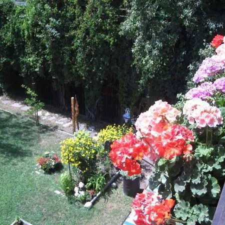 Egger Apartment
