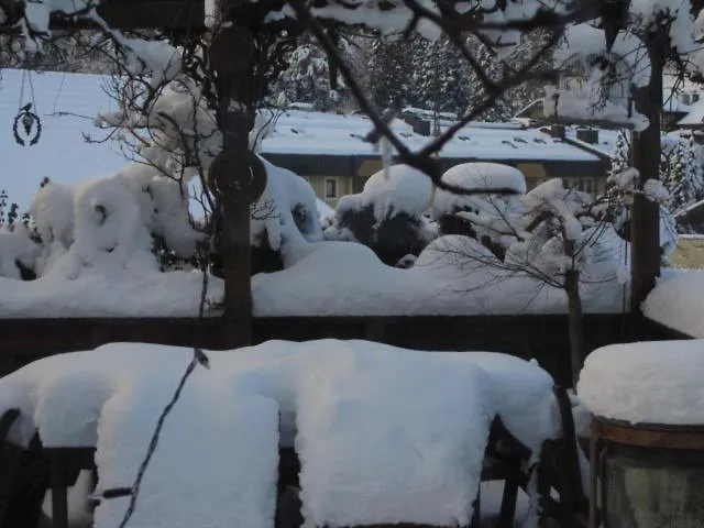 Egger شقة لينز